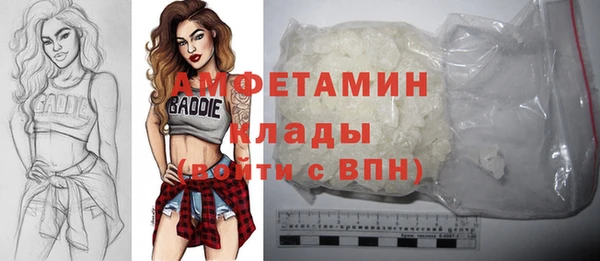 прущие грибы Ельня