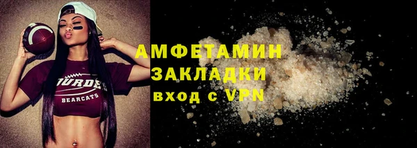 прущие грибы Ельня