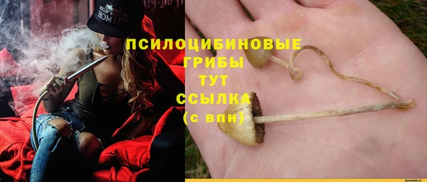 стафф Заволжск