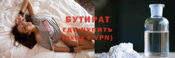 прущие грибы Ельня