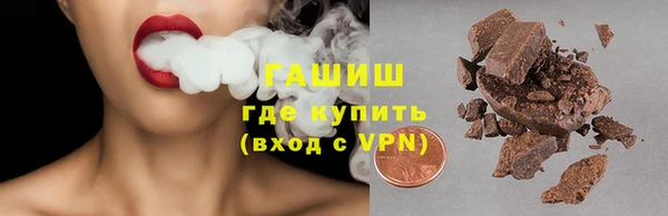 прущие грибы Ельня