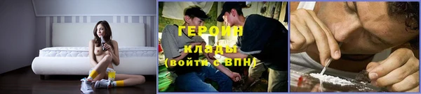 прущие грибы Ельня