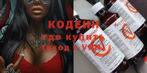 прущие грибы Ельня