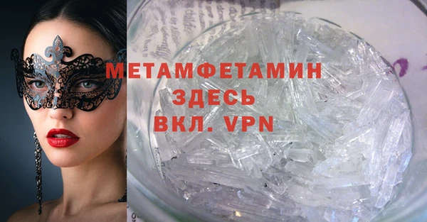 прущие грибы Ельня