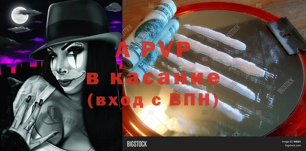 стафф Заволжск