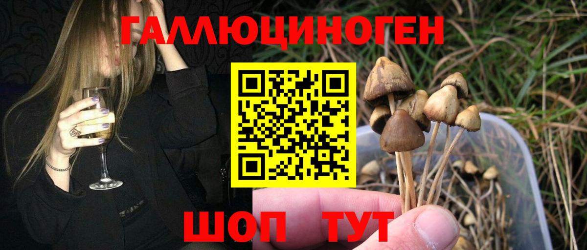 Псилоцибиновые грибы Magic Shrooms Северобайкальск