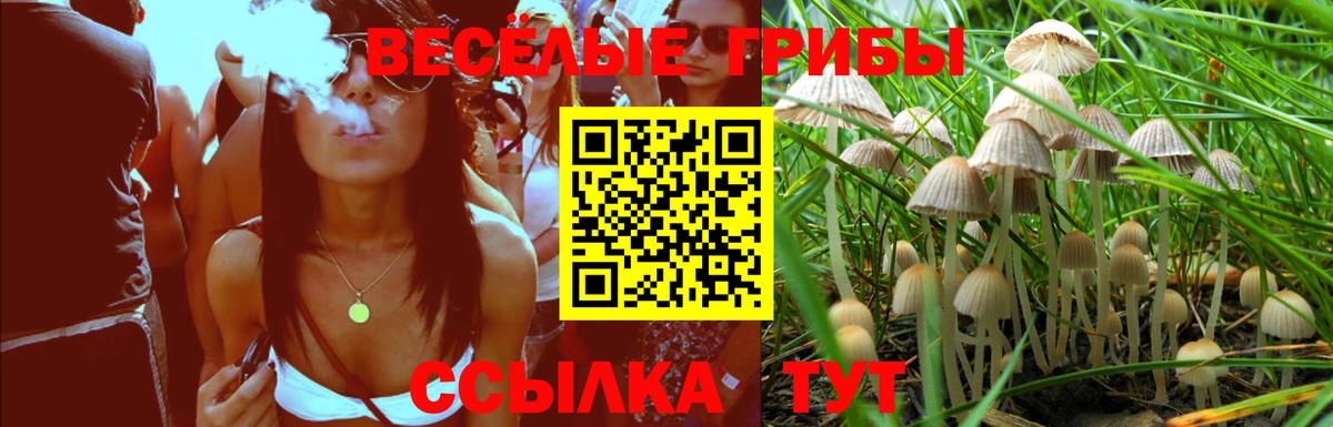 цена наркотик  Северобайкальск  Галлюциногенные грибы мицелий 